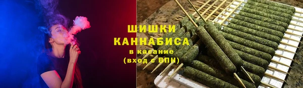 индика Балахна